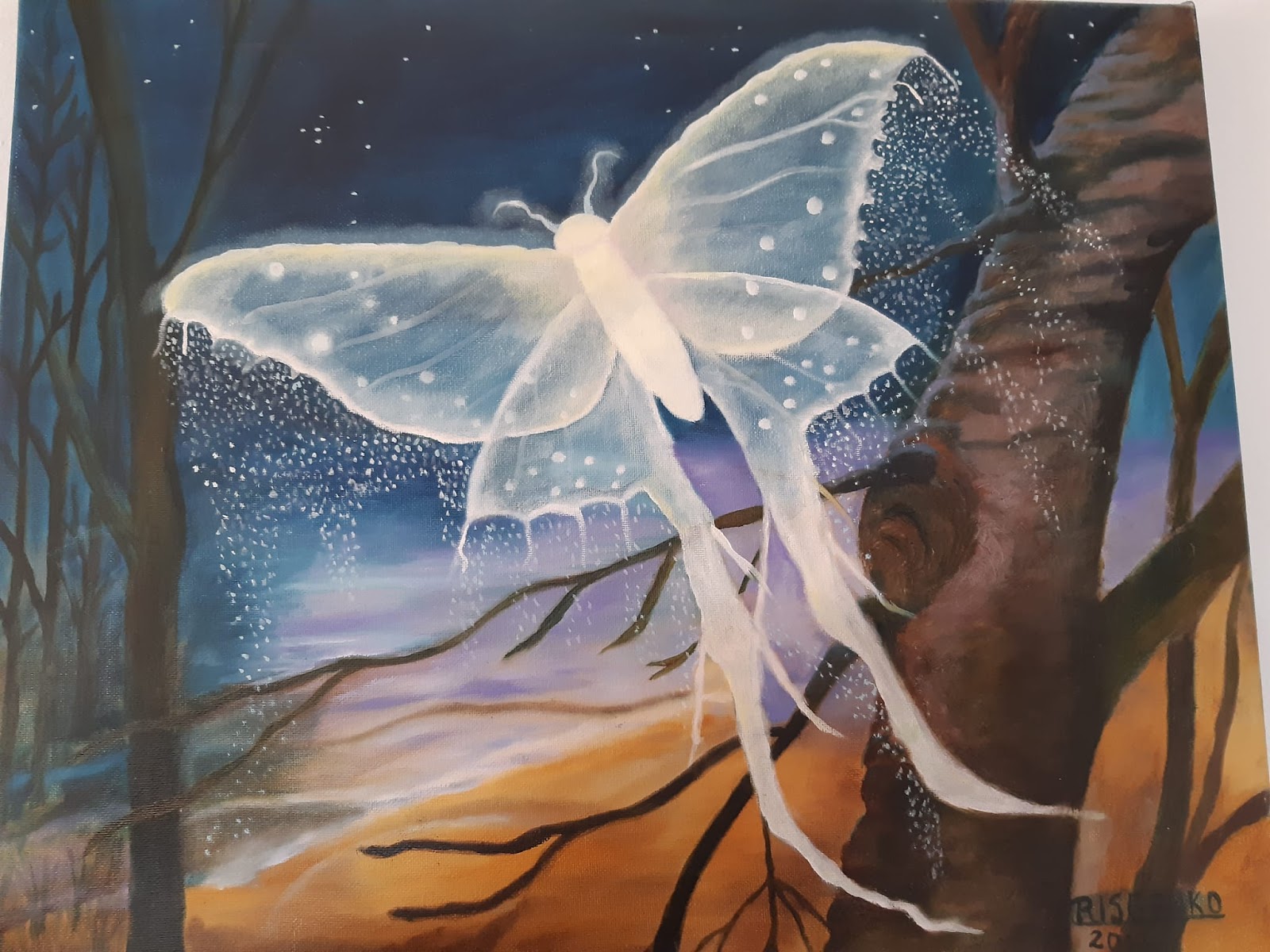 Mariposa astral